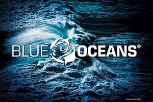 Blue Ocean SSI logo