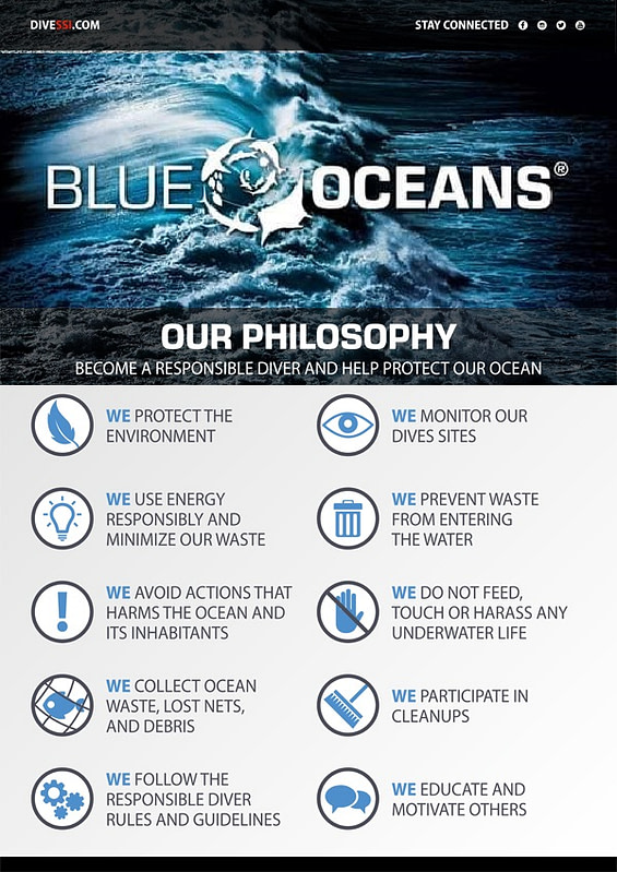 Blue Oceans image