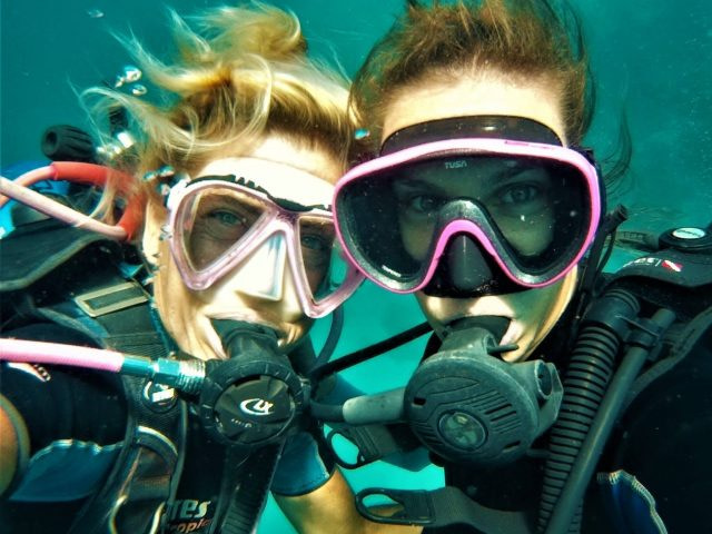 Diving with Rebel